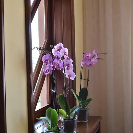 Sea View Sunny Appartement *